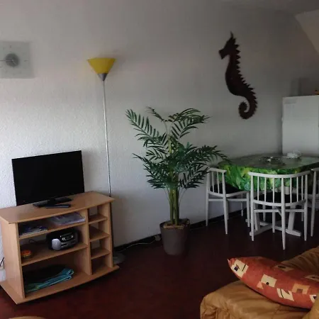 Appartamento Grand T2 Avec Terrasse, 4 Pers, Proche - Fr-1-81-493 *