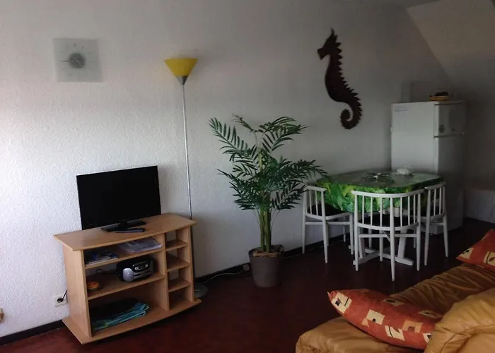 Lägenhet Grand T2 Avec Terrasse, 4 Pers, Proche - Fr-1-81-493 *